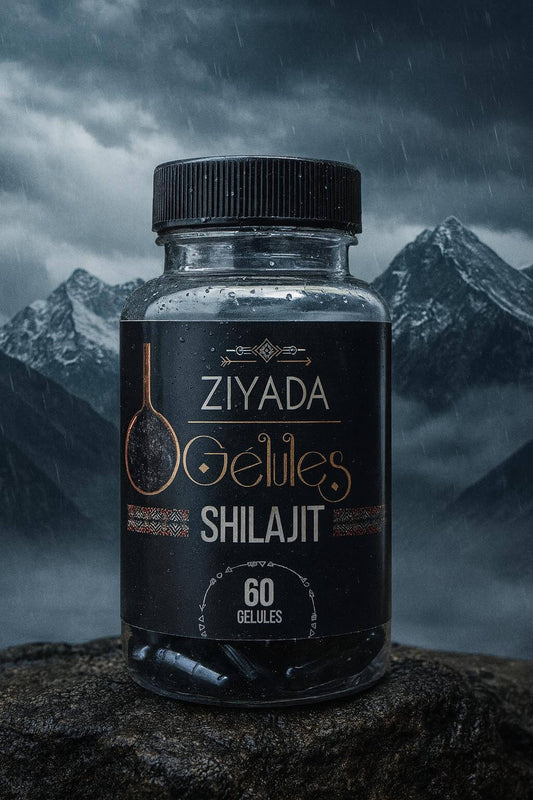 Gélules Shilajit – Ziyada